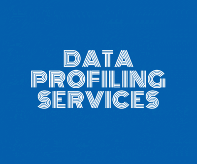 DATA PROFILING SERVICES